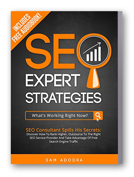 The Best Seo Book in the World