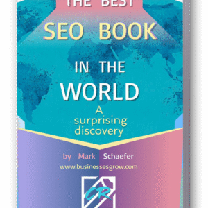 The Best Seo Book in the World